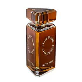 Parfémová voda State of Mind Modern Nomad Eau de Parfum 100 ml
